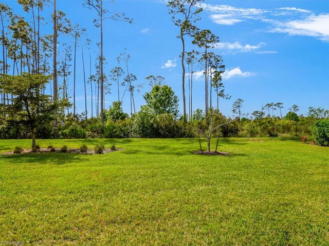 Huge, private yard, with plenty of room for a pool!