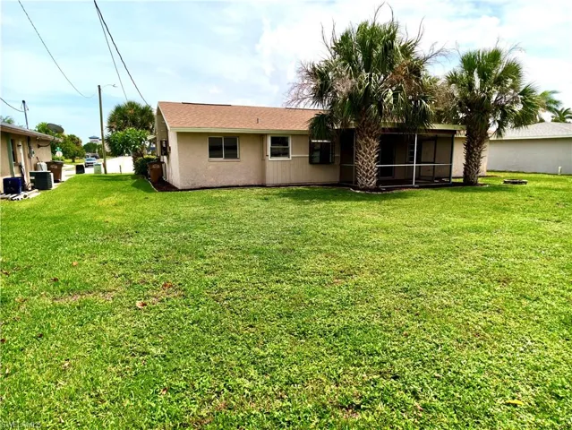 Spacious rear lawn with established palm trees and a screened patio