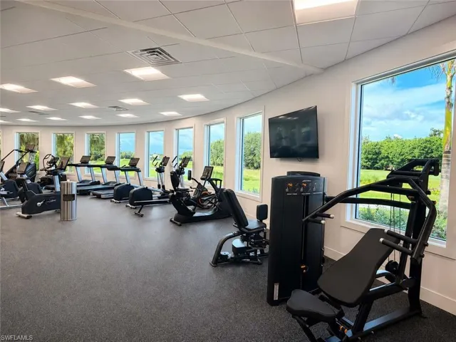 28201 L Burton Fletcher Ct, Bonita Springs, Florida 34135