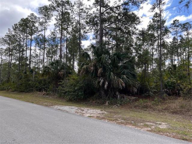 X 8th AVE NE, NAPLES FL 34120