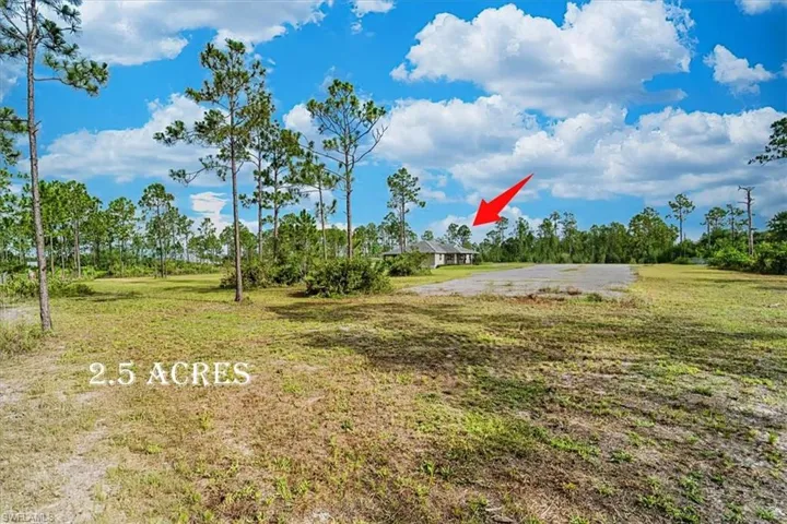 View of grassy yard featuring view of wooded area