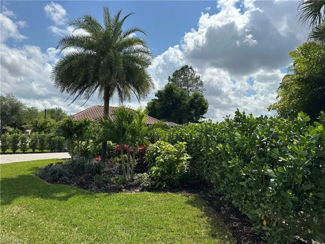 View of grassy yard
