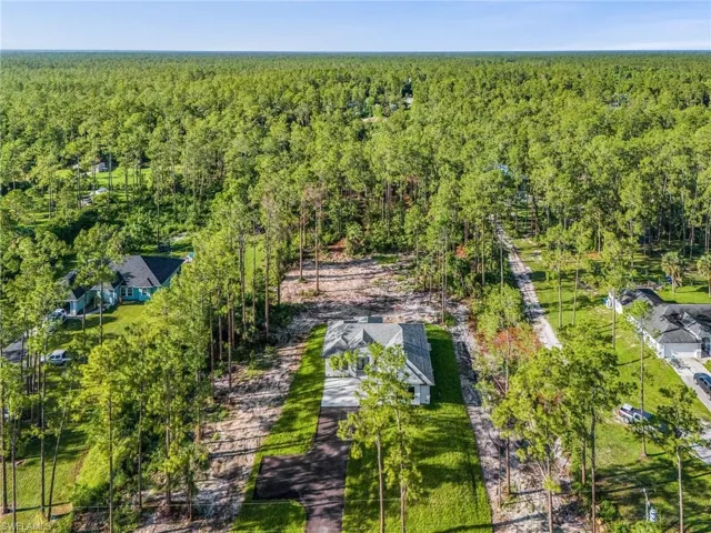 Aerial view of a heavily wooded area