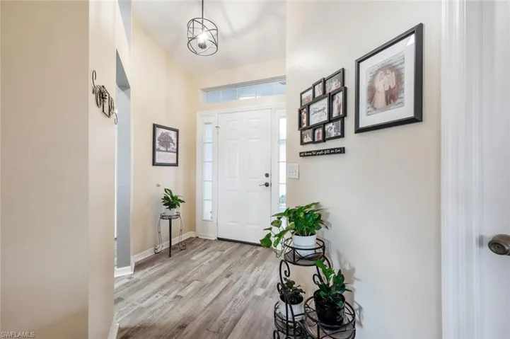 Entrance foyer featuring wood-type flooring