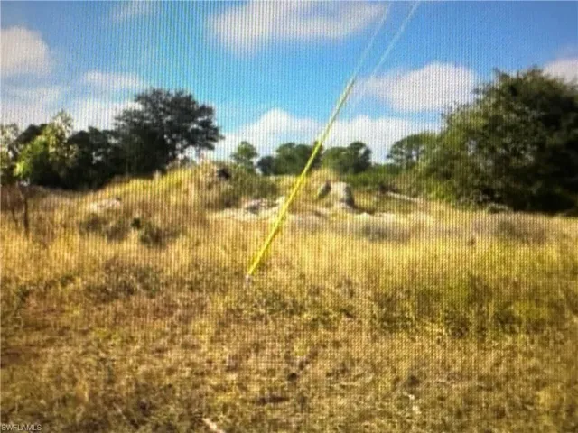 View of nature