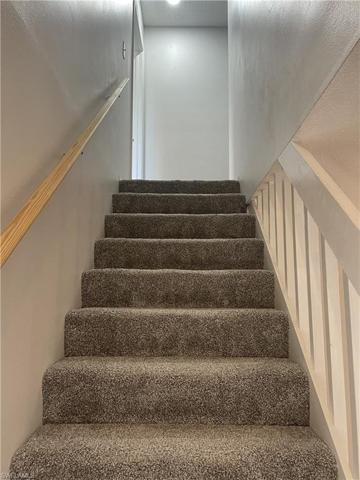 Stairs with new carpet