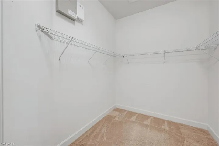 Walk in closet with carpet floors