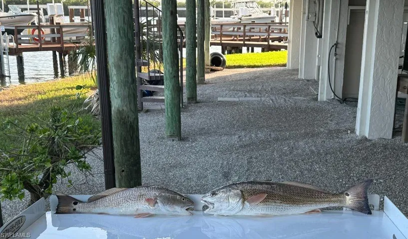 Fresh Catch