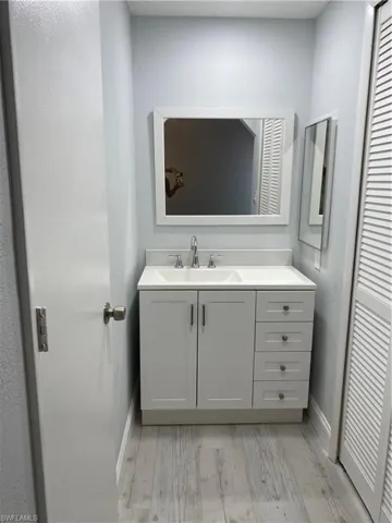 Bathroom with vanity, light wood-style flooring, and a closet