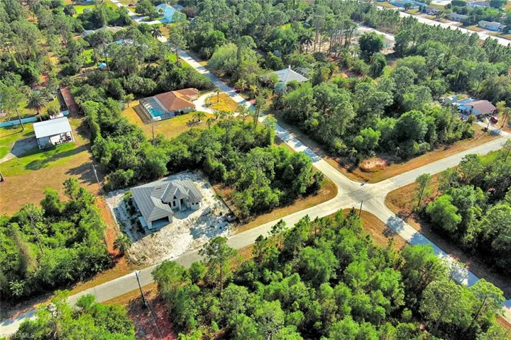 Aerial view of a tree filled landscape