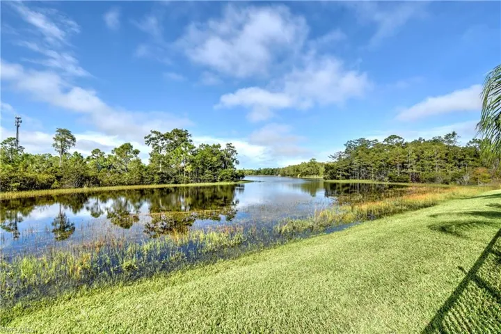 Water view