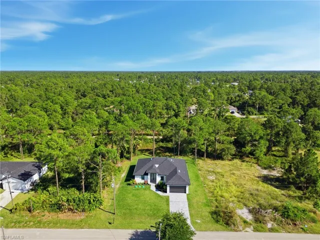 Drone / aerial view of a forest