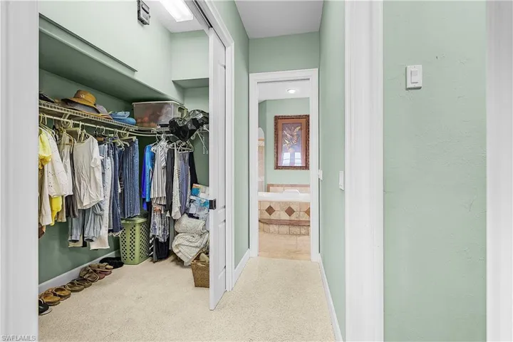 Walk-in closet featuring wire shelving and carpet flooring