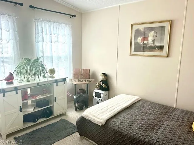 Bedroom with light carpet