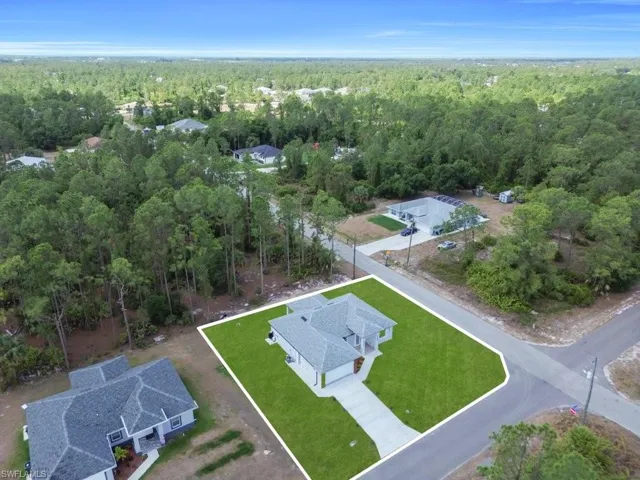 Aerial view of a forest