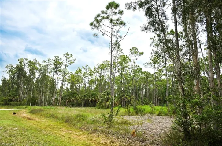 24443 Rocky Rd, Bonita Springs Fl 34135