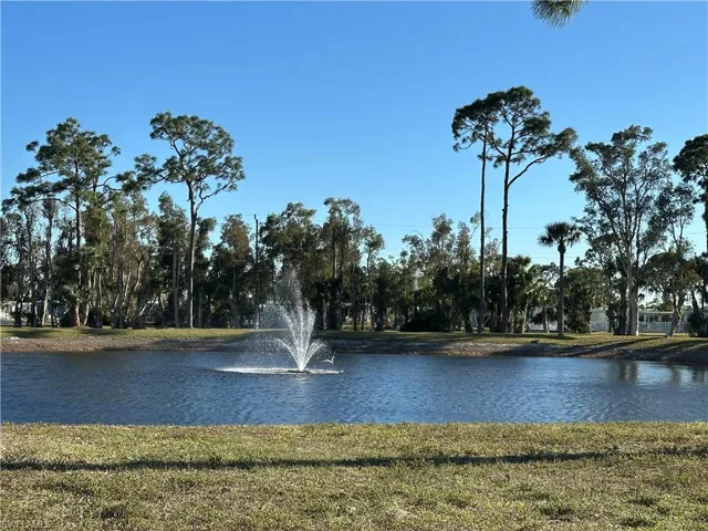 Pond in community