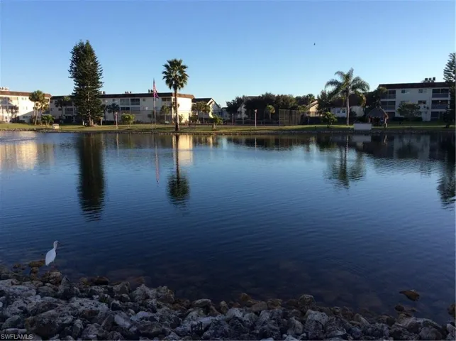Peaceful Lake View