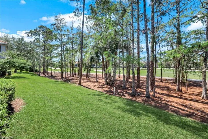 View of grassy yard featuring view of scattered trees
