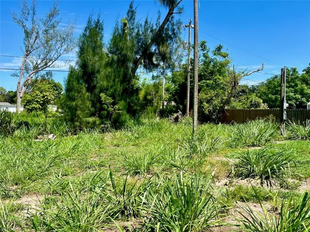 View of nature