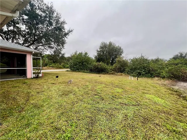 View of backyard