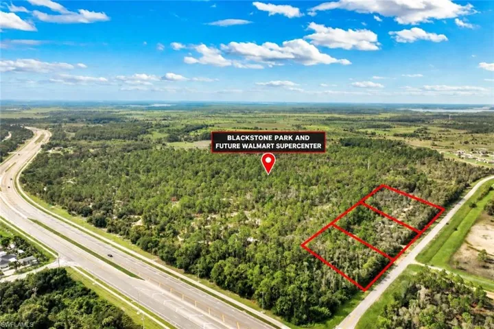 Expansive land parcels outlined in red with substantial tree coverage