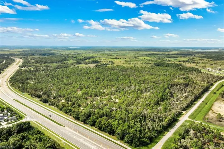 Expansive land parcel with direct road frontage, abundant mature trees, and clear blue sky