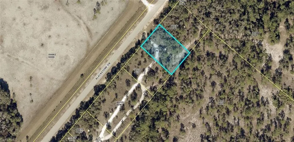 328 Blackstone Dr, Fort Myers, Florida 33913