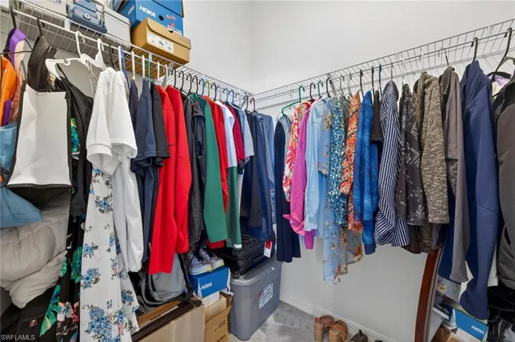Walk in closet featuring light colored carpet