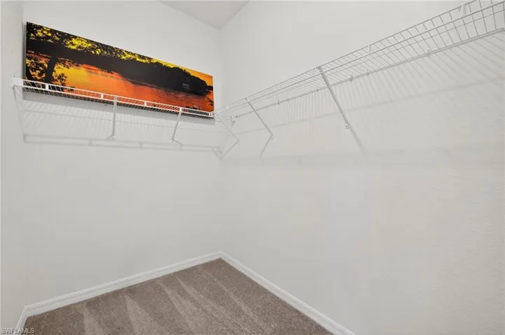 Walk in closet featuring dark colored carpet