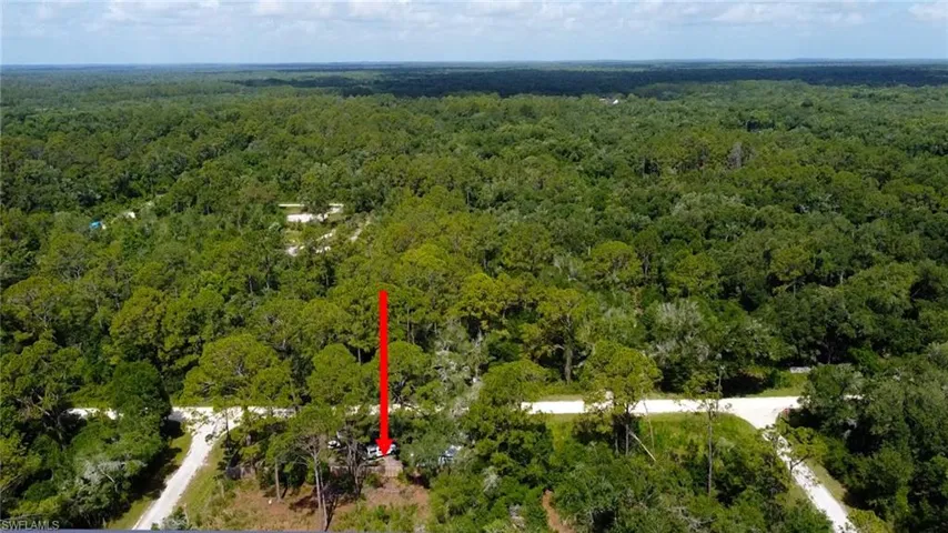 Expansive lot with mature trees and a natural landscape