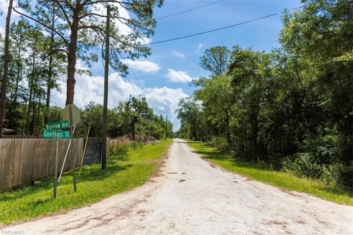 Unpaved road extending into the distance, bordered by natural vegetation and mature trees
