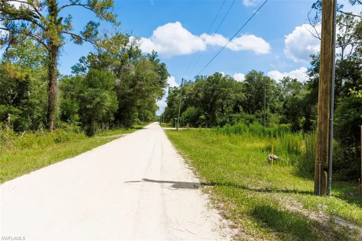 Unpaved road extending into a wooded area, bordered by natural vegetation and mature trees