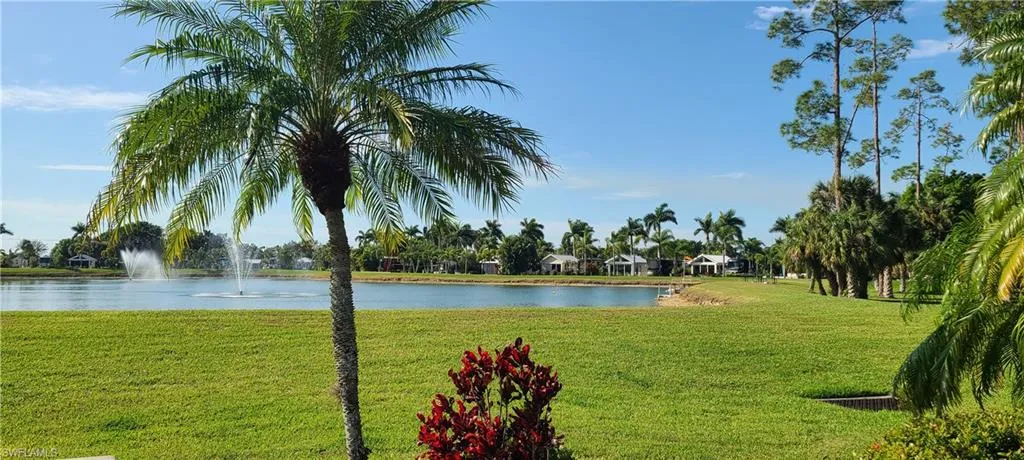 Water view