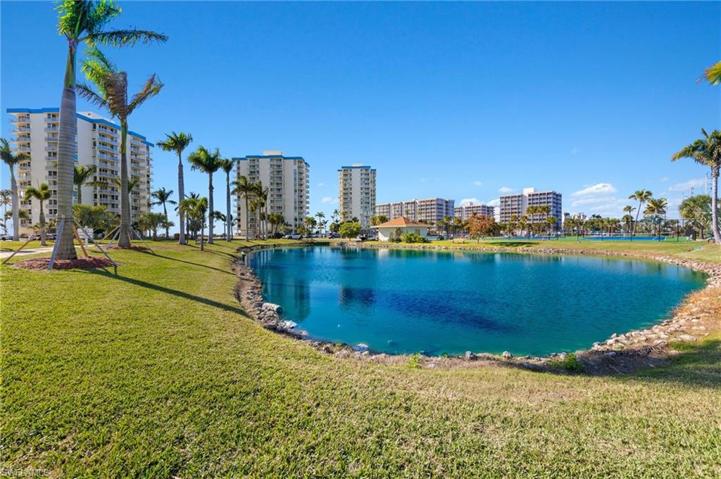 Pond