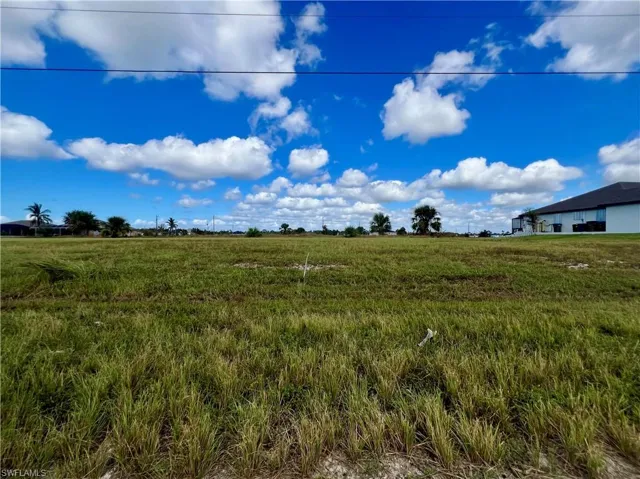 View of local wilderness featuring a rural view