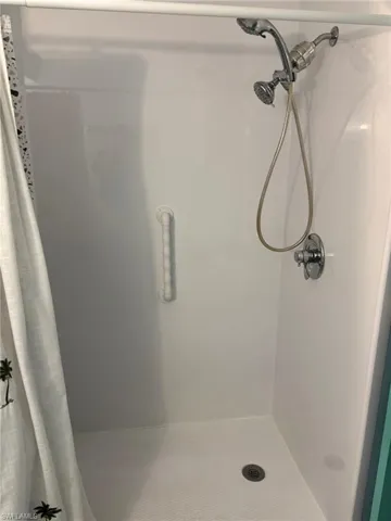 Shower in the hall bath
