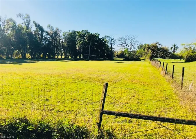North SIde Yard