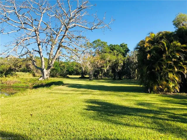 Yard-Pond