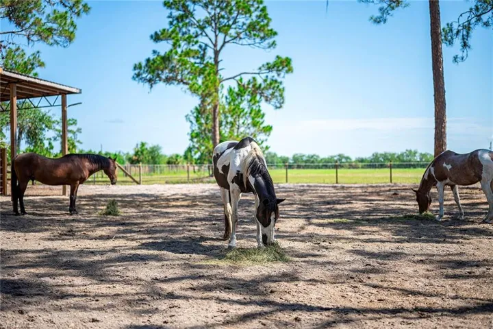 14661 Duke Hwy, Alva, Florida 33920