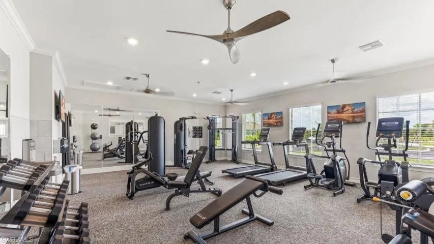 Fitness center featuring carpet flooring, ceiling fans, multiple windows, and a mirrored wall