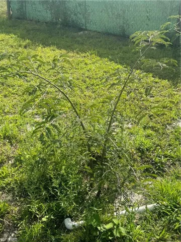 530 S Estribo  ST, Clewiston, FL 33440