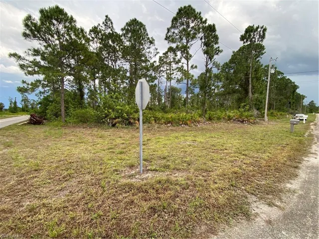 717 Puccini Ave S, Lehigh Acres Fl 33974