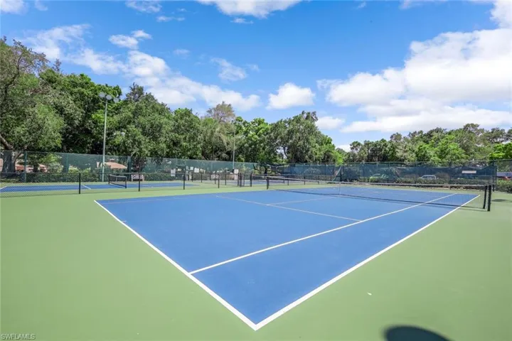 Pickle ball