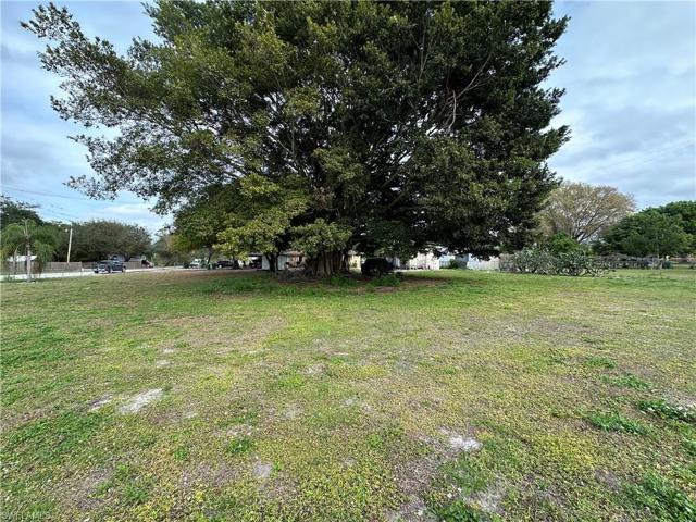 2404  Lake Trafford  RD, Immokalee, FL 34142