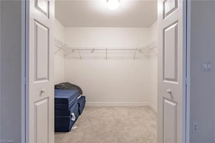 Walk in closet with light colored carpet