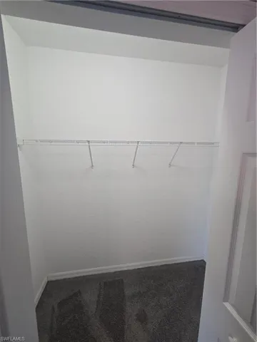 Spacious closet with carpet flooring