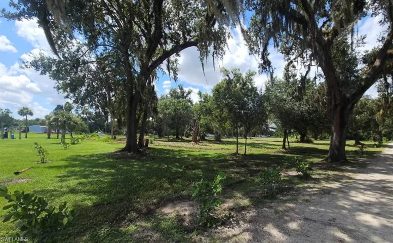 View of yard with majestic oak trees
