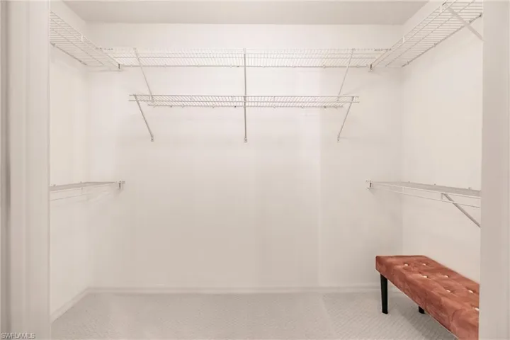 Walk in closet with carpet flooring