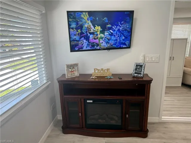 Living Room Fireplace and T.V.